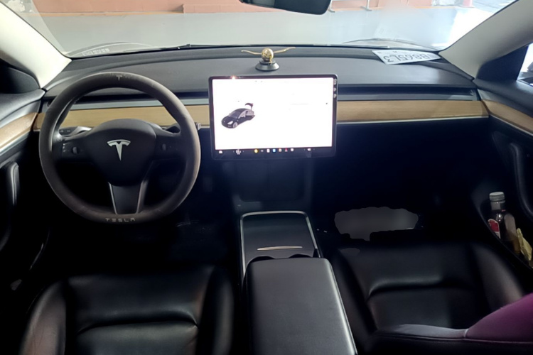 Tesla Model 3 2021 #10 Tesla Model 3 2021 car image #10