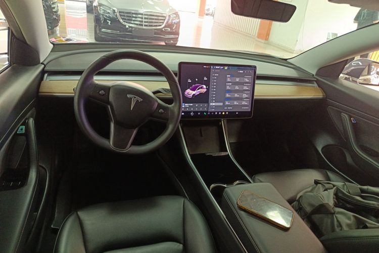 Tesla Model 3 2020 immagine di auto #10