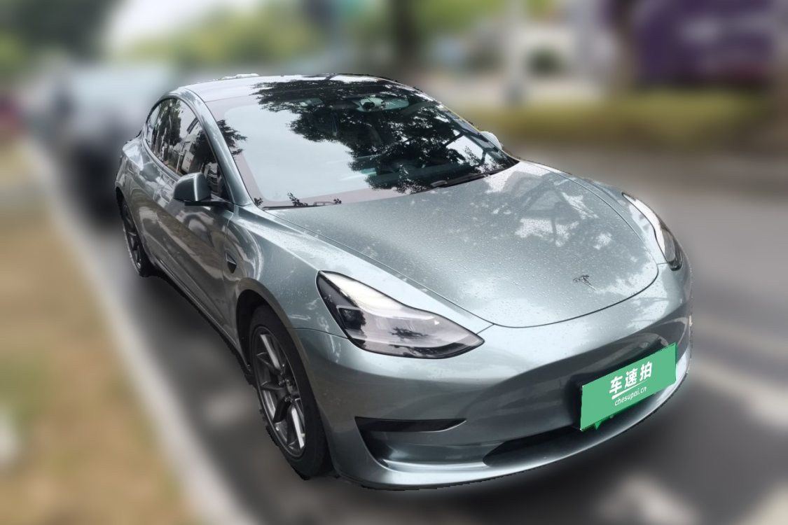 Tesla Model 3 2021 #2 Tesla Model 3 2021 car image #2