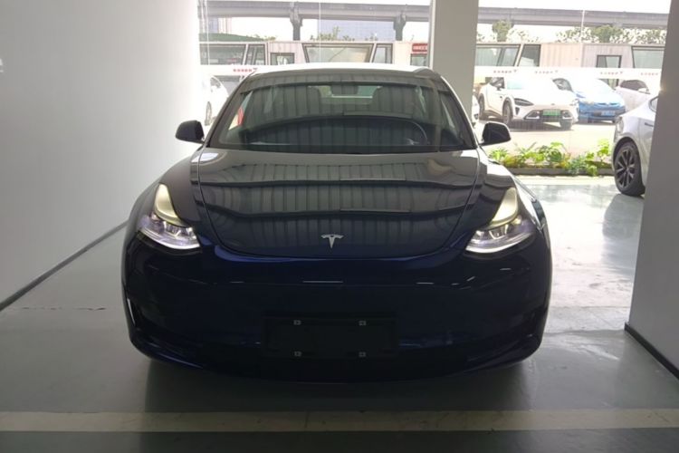 Tesla Model 3 2021 #3 Tesla Model 3 2021 car image #3