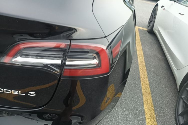 Tesla Model 3 2021 car image #8