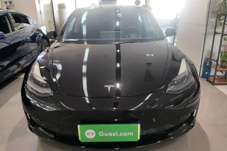 Tesla Model 3 2021 #3 Tesla Model 3 2021 car image #3