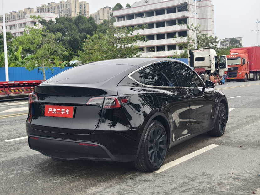 Tesla Model Y 2024 car image #6