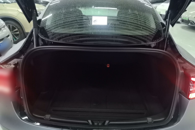 Tesla Model 3 2021 #19 Tesla Model 3 2021 car image #19