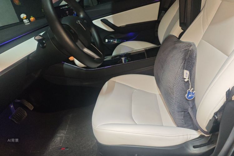 Tesla Model 3 2020 #17 Tesla Model 3 2020 car image #17