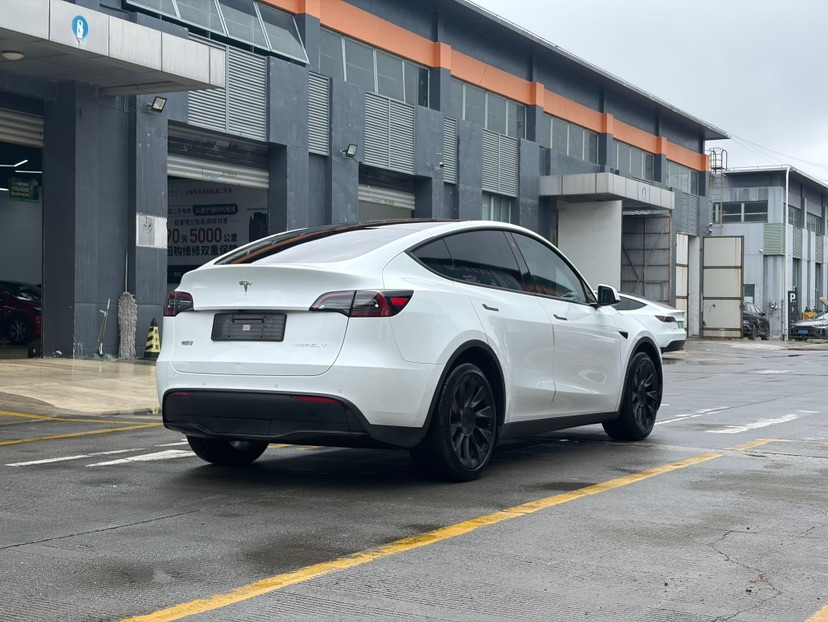 Tesla Model Y 2021 car image #5