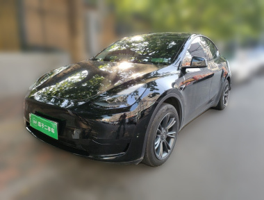 Tesla Model Y 2024 Tesla Model Y 2024 صورة سيارة