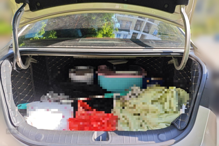 GEELY Emgrand L 2023 car image #21