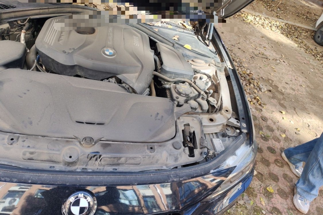 BMW 3 Series 2018 car image #12