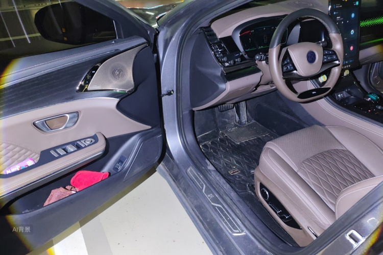 BYD Han 2022 car image #18