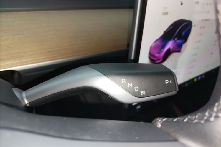 Tesla Model Y 2022 imagem de carro #14