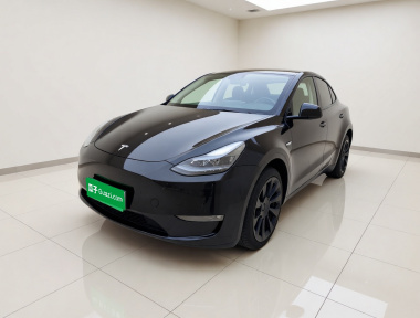 Tesla Model Y 2023 car image 