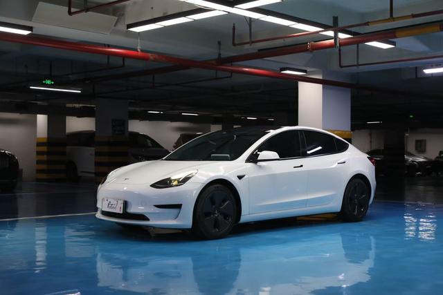 Tesla Model 3 2021 #18 Tesla Model 3 2021 car image #18