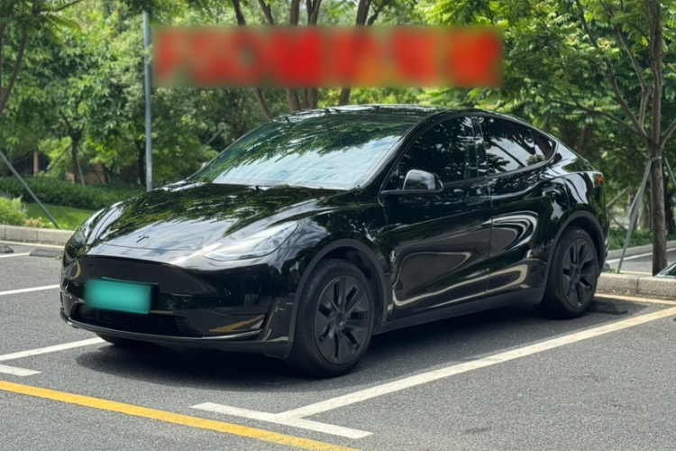 Tesla Model Y 2024 #2 Tesla Model Y 2024 immagine di auto #2