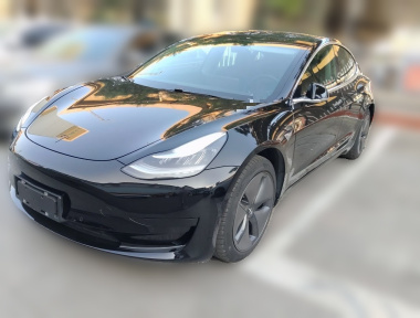 Tesla Model 3 2020 Tesla Model 3 2020 car image