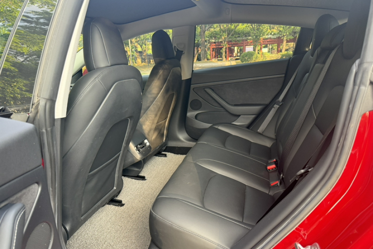 Tesla Model 3 2021 #9 Tesla Model 3 2021 car image #9