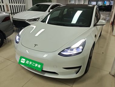 Tesla Model 3 2023 صورة سيارة 