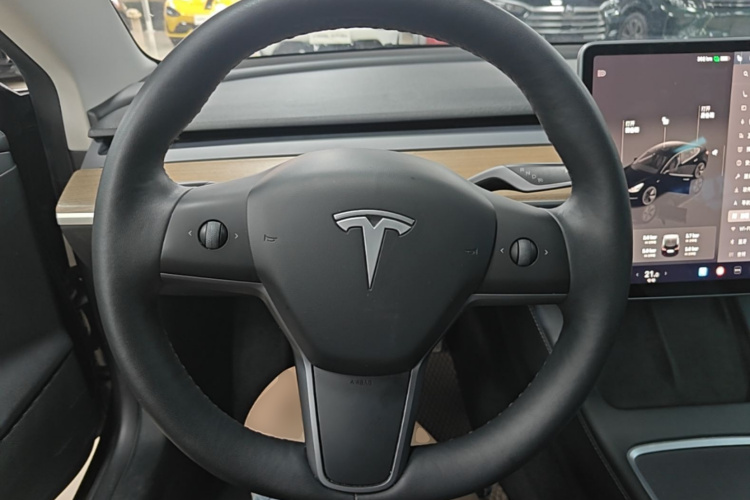 Tesla Model 3 2023 car image #15