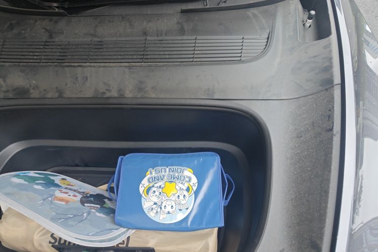 Tesla Model Y 2025 car image #29