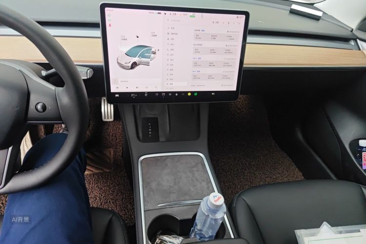 Tesla Model 3 2021 car image #15