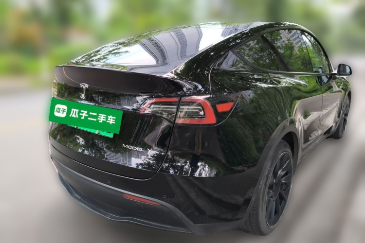 Tesla Model Y 2021 car image #7