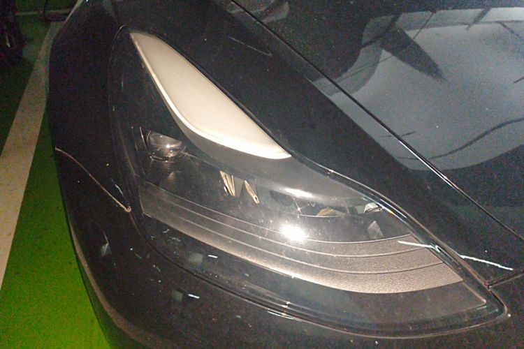 Tesla Model 3 2021 car image #8