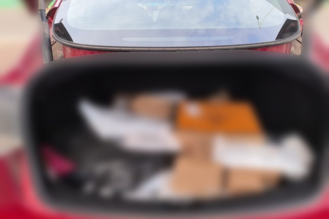 Tesla Model 3 2024 immagine di auto #8