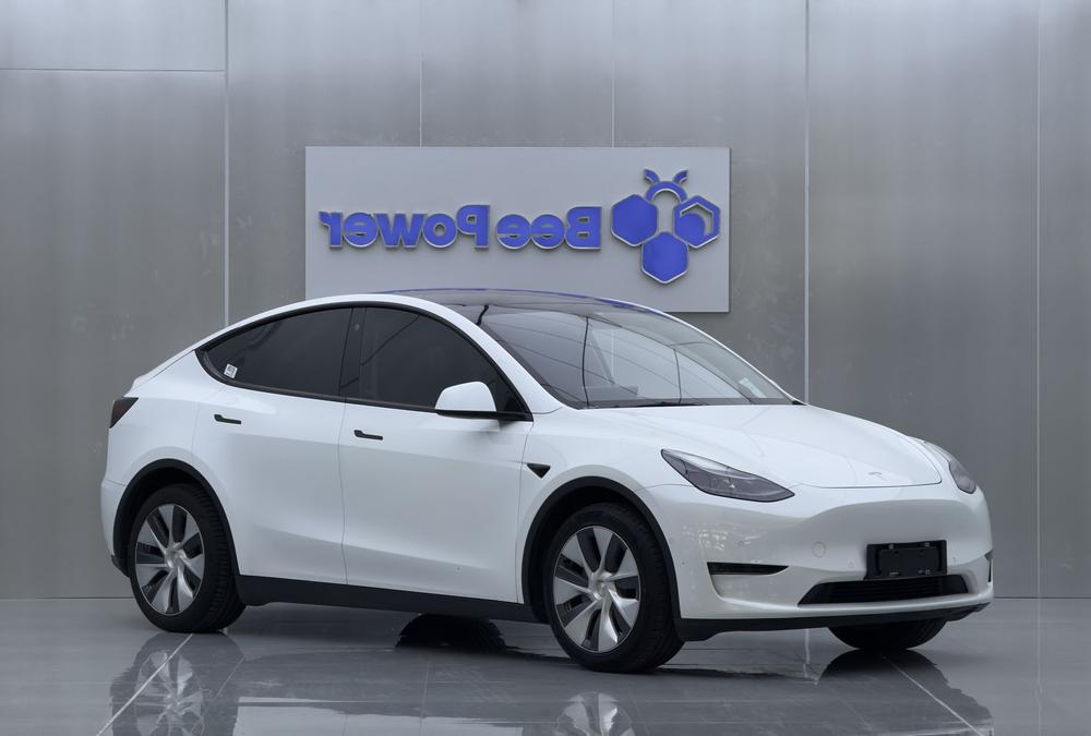 Tesla Model Y 2021 car image #3