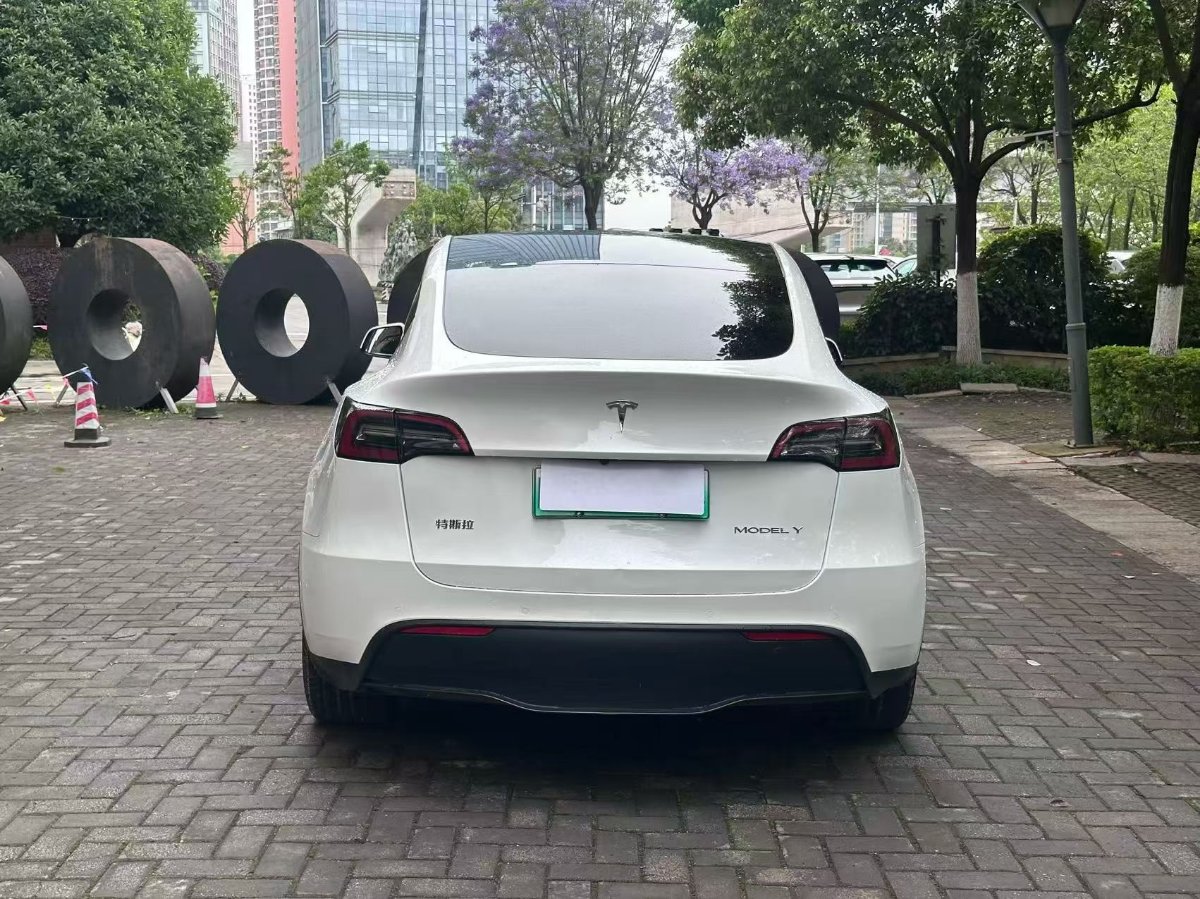 Tesla Model Y 2023 #5 Tesla Model Y 2023 car image #5