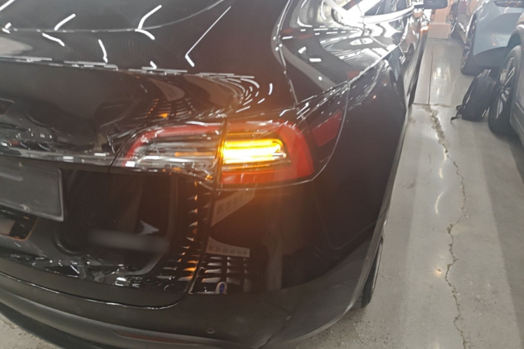 Tesla Model Y 2021 #8 Tesla Model Y 2021 car image #8