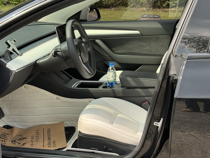 Tesla Model 3 2021 car image #5
