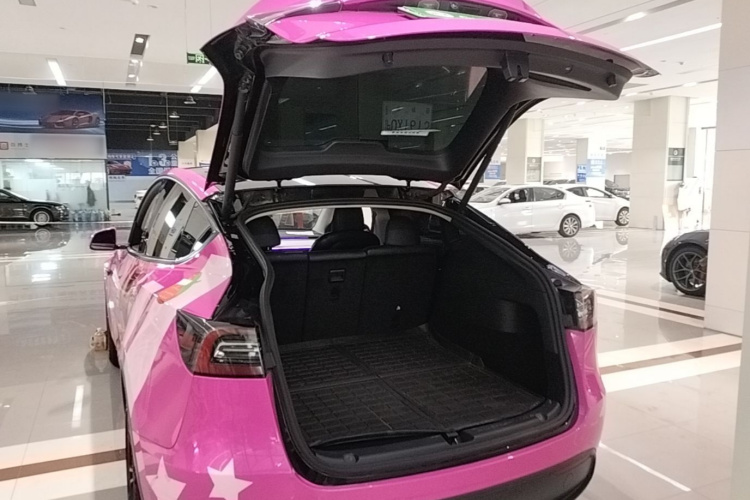 Tesla Model Y 2021 #19 Tesla Model Y 2021 car image #19