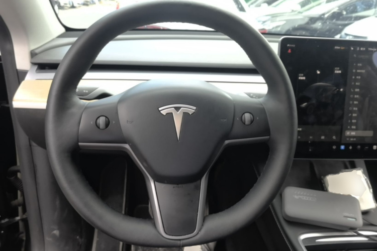 Tesla Model Y 2021 car image #11