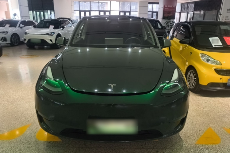 Tesla Model Y 2021 #3 Tesla Model Y 2021 car image #3