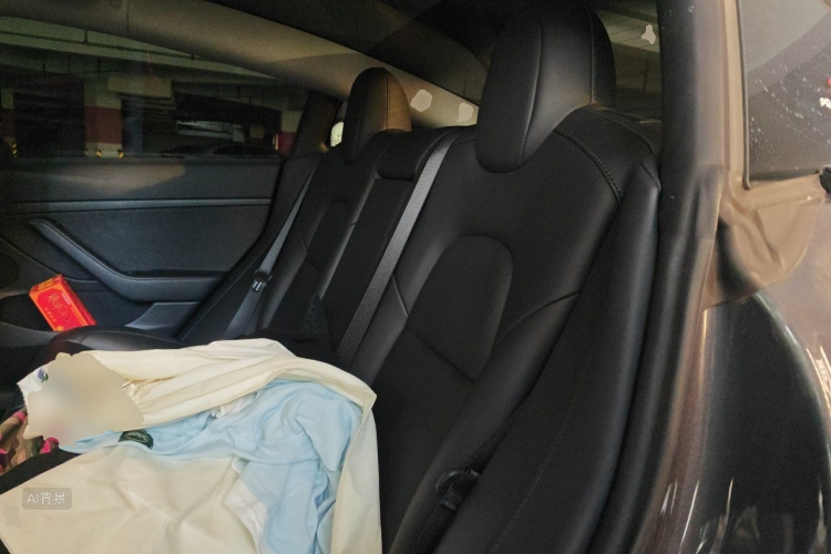 Tesla Model 3 2021 #19 Tesla Model 3 2021 car image #19