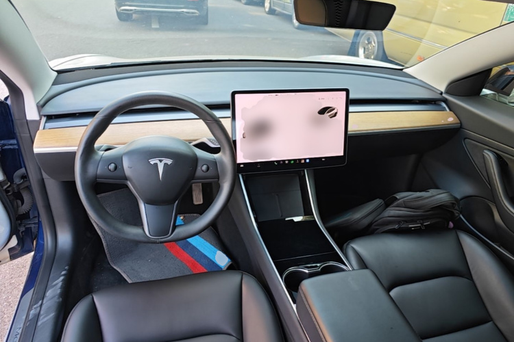 Tesla Model 3 2020 car image #10