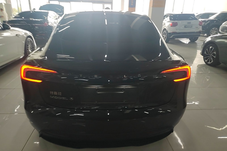 Tesla Model 3 2024 #4 Tesla Model 3 2024 car image #4