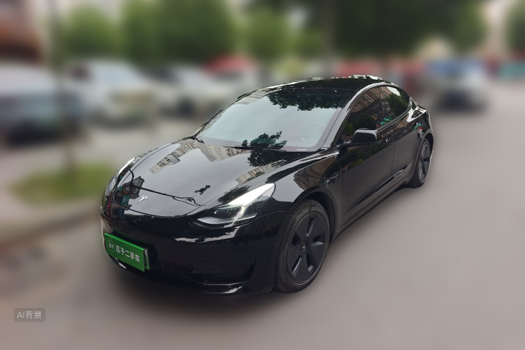 Tesla Model 3 2022 #2 Tesla Model 3 2022 car image #2