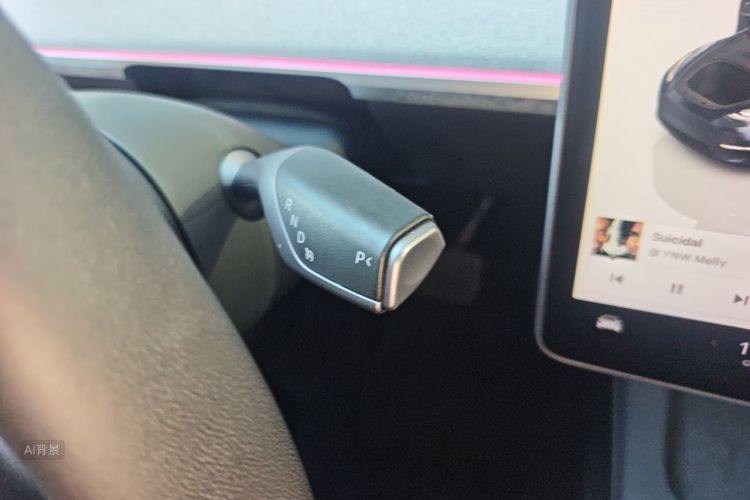 Tesla Model Y 2024 car image #16