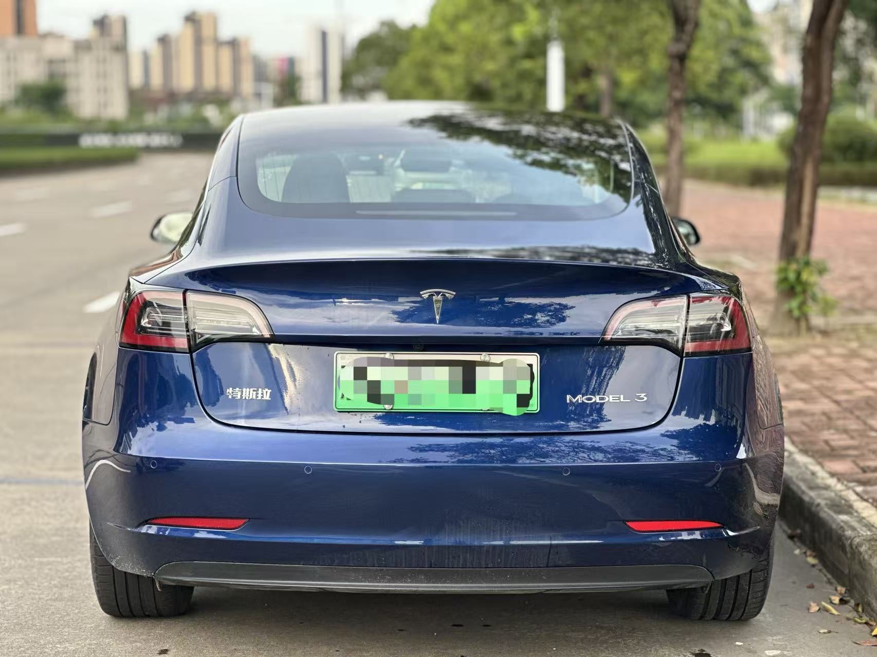 Tesla Model 3 2020 car image #8