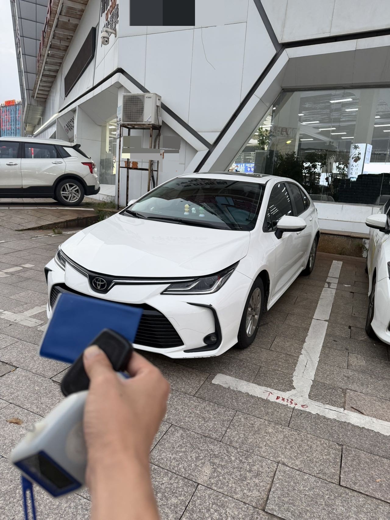 Toyota Corolla 2022 Toyota Corolla 2022 car image
