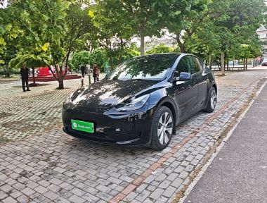 Tesla Model Y 2023 Tesla Model Y 2023 car image