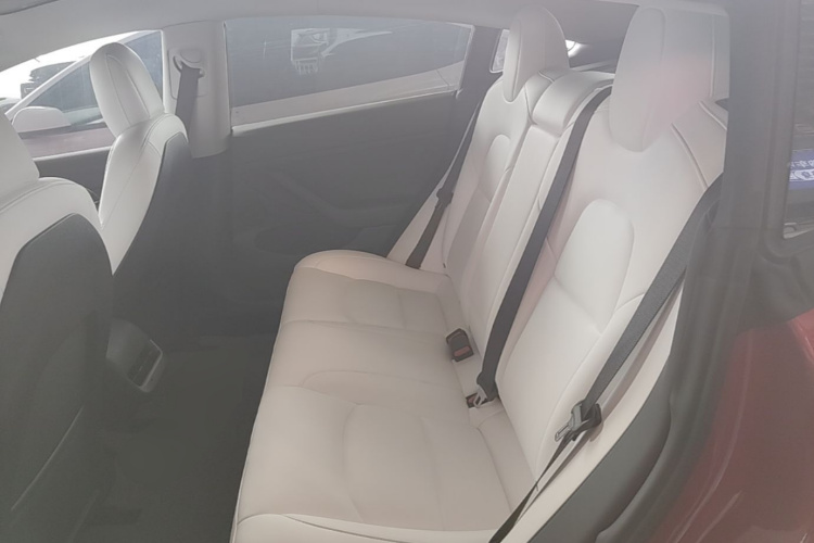 Tesla Model 3 2021 #17 Tesla Model 3 2021 car image #17