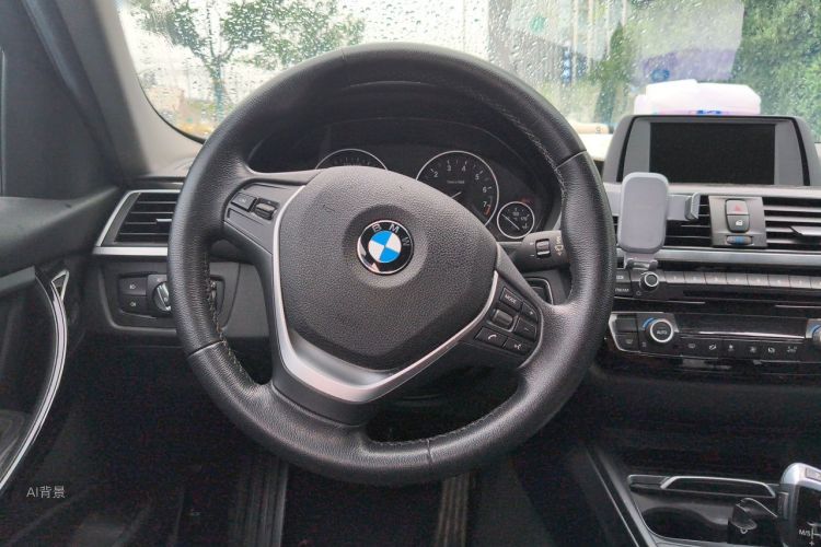 BMW 3 Series 2016 car image #12