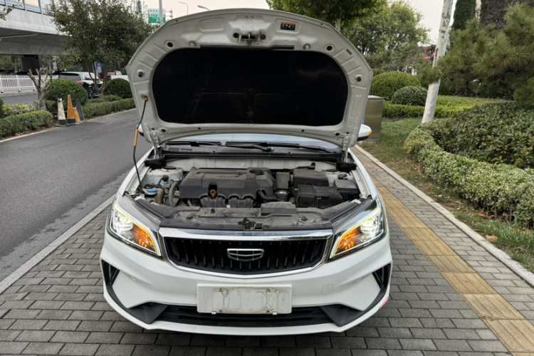 GEELY Emgrand 2021 #21 GEELY Emgrand 2021 imagem de carro #21