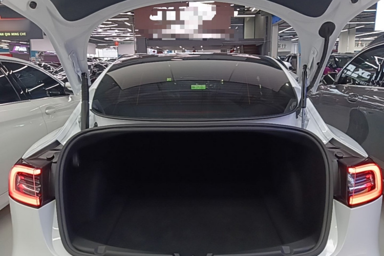 Tesla Model 3 2022 #21 Tesla Model 3 2022 immagine di auto #21