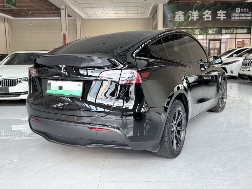 Tesla Model Y 2023 car image #9