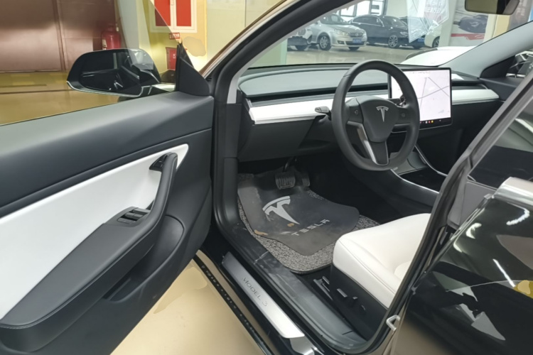 Tesla Model 3 2020 car image #12