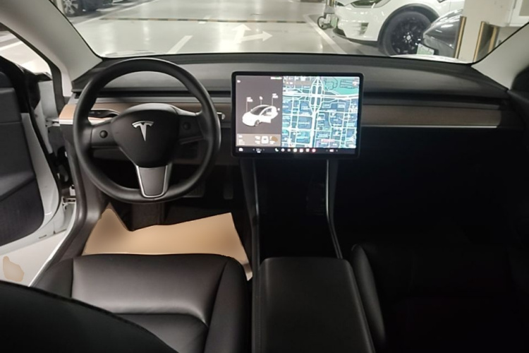 Tesla Model 3 2020 car image #8