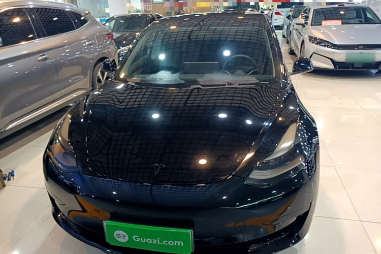 Tesla Model 3 2021 #3 Tesla Model 3 2021 car image #3